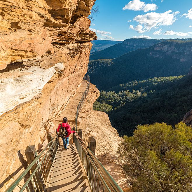 Blue Mountains