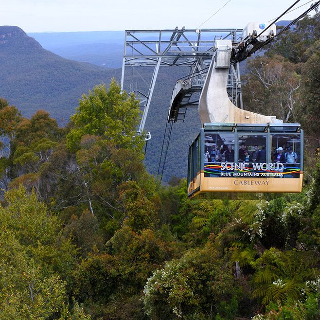 Scenic world